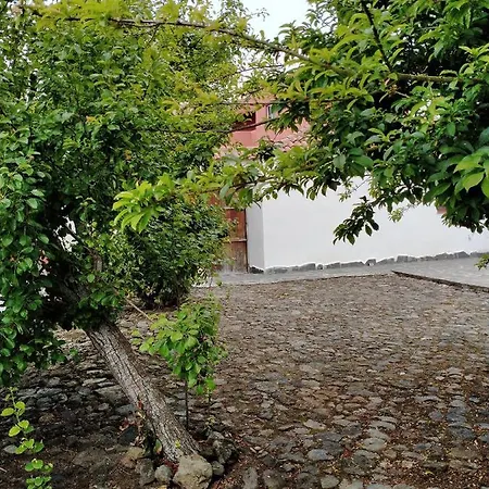 アパート Rustikale Kanarische Finca Mit Garten イコー・デ・ロス・ビノス