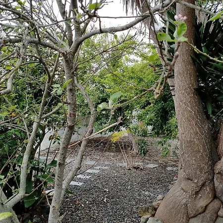 Rustikale Kanarische Finca Mit Garten アパート *