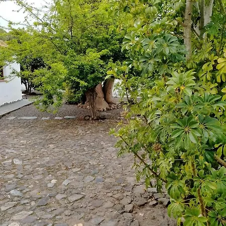 Rustikale Kanarische Finca Mit Garten アパート *