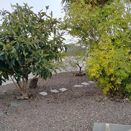 アパート Rustikale Kanarische Finca Mit Garten *